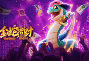 595cc开元官网版