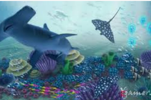 595cc开元官网版客户端